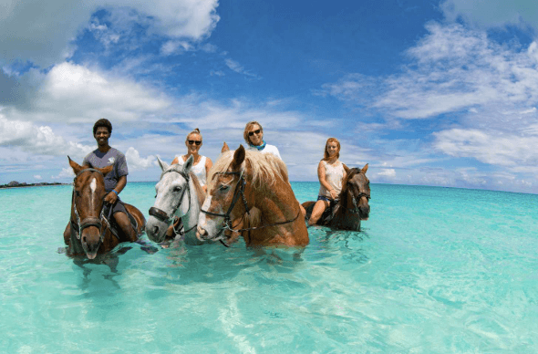 What are the best hands-on marine experiences for families and tourists?